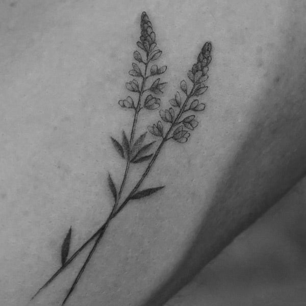 Bluebonnet Tattoo: Meanings Designs and Ideas – neartattoos